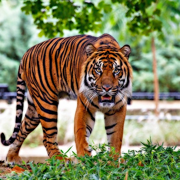 Jak to jest z tymi maseczkami i wychodzeniem z domu? - 19 rozporządzeń z ograniczeniami w ciągu 2 miesięcy epidemii