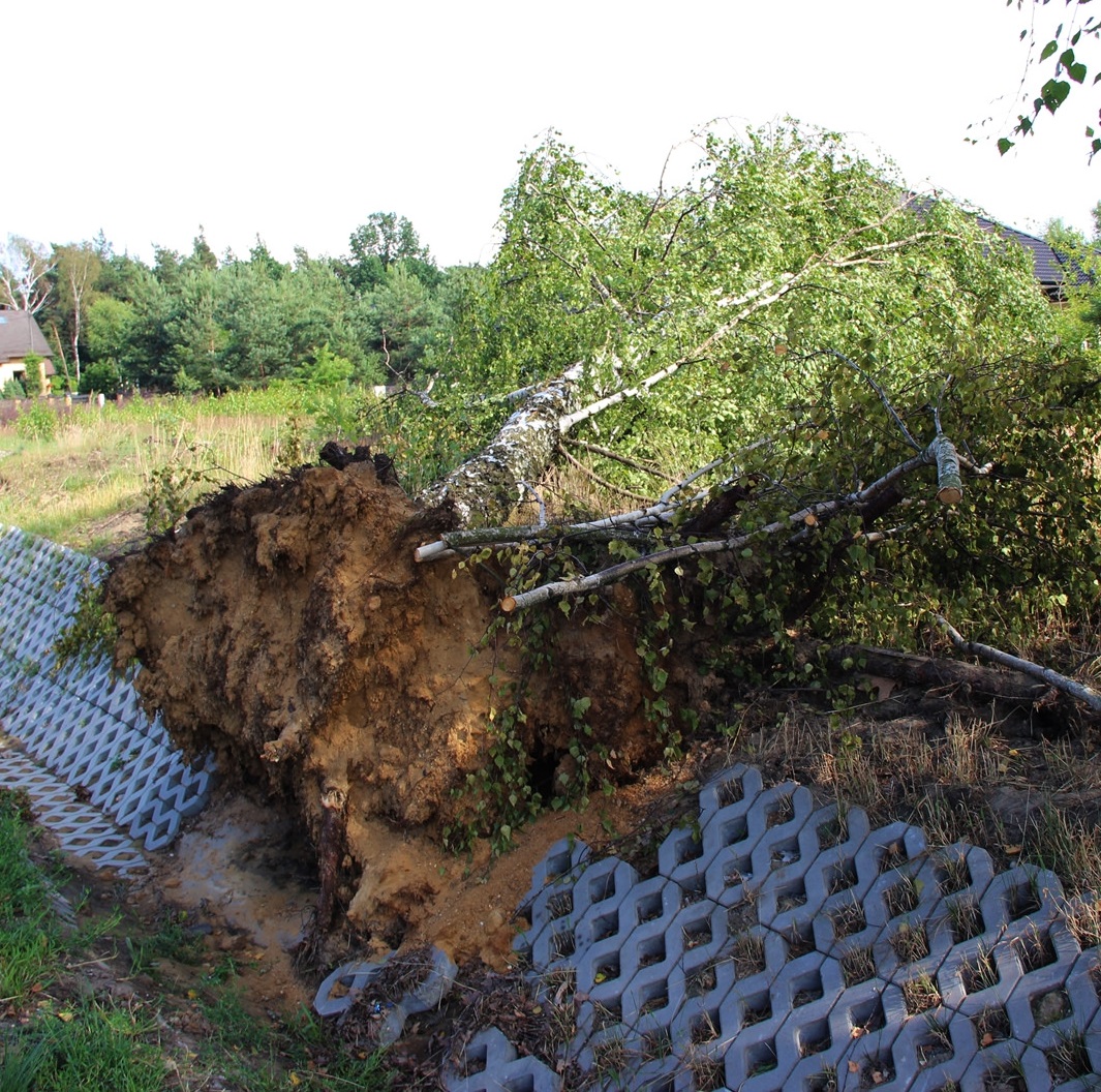 Termin zgłoszenia szkody ubezpieczycielowi