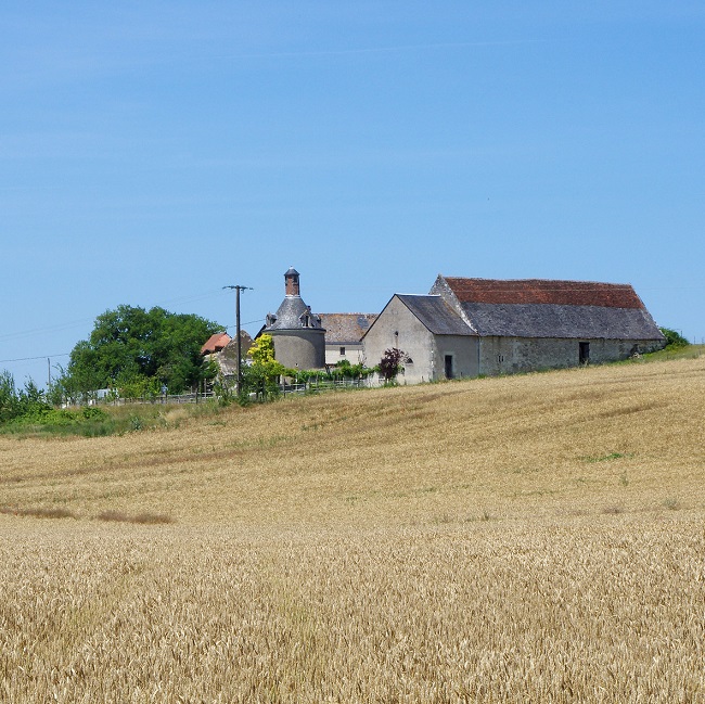 Ułatwienie sprzedaży nieruchomości rolnych. Zmiana ustawy o kształtowaniu ustroju rolnego